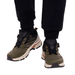 APEX Lion (Green, 41)